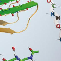 AmyloidNetwork Carousel