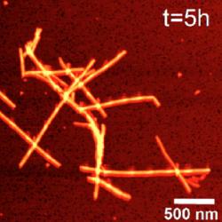 Intrinsic Fluorescence increase 400