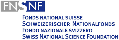 SNF Logo 400