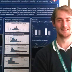 Florian Ströhl wins best poster prize at British Biophysical Society Meeting 2016